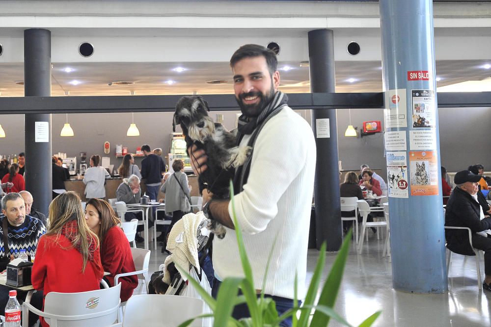 Las mejores imágenes de Expocachorro 2018 en IFA