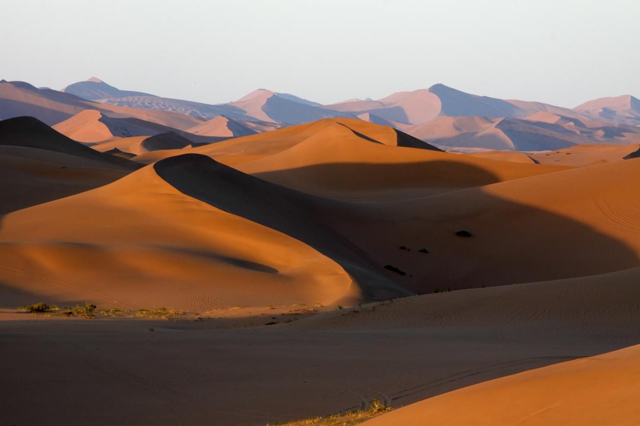 El desierto de Gobi tiene muchas caras