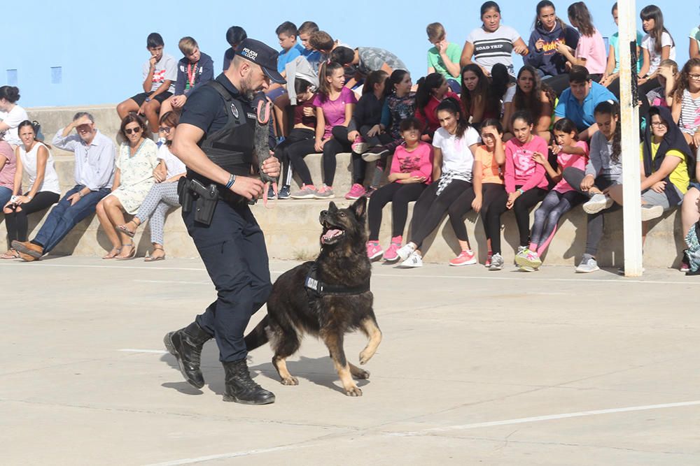 Agentes de Sant Antoni muestran a los alumnos las habilidades de la perra para detectar droga.