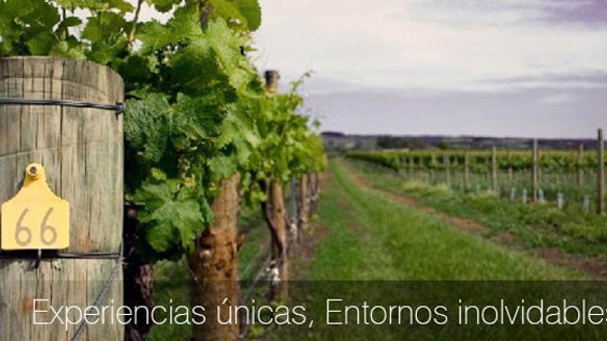 El enoturismo está de moda con Fine Wine Hotels