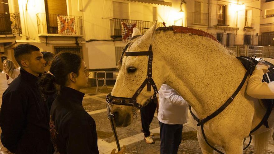 Descubre cómo es el ritual de enjaezar a un Caballo del Vino