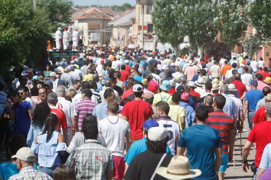 Fiestas en Zamora: Segudos espantes de Fuentesaúco