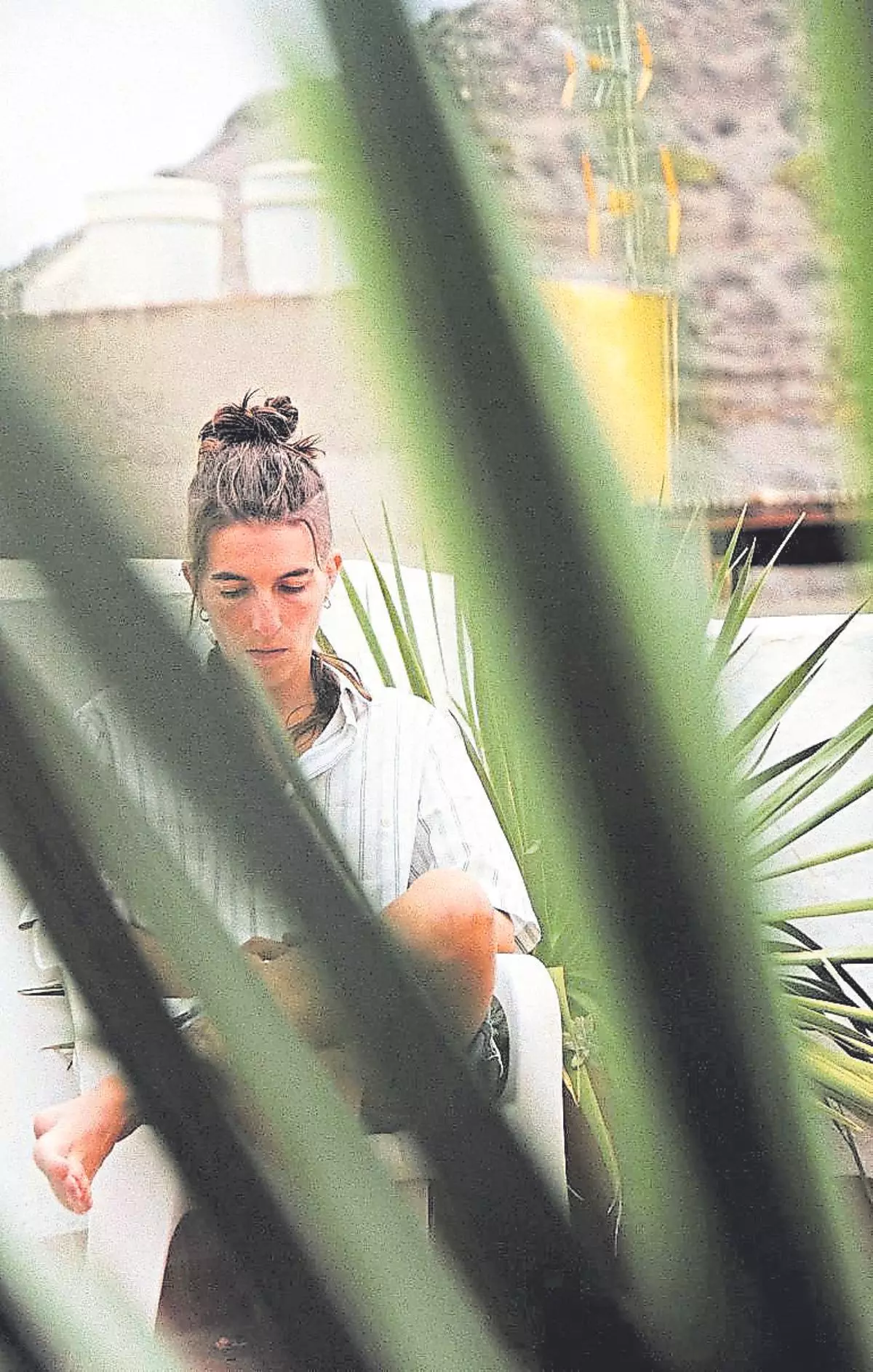 El círculo de Pleito