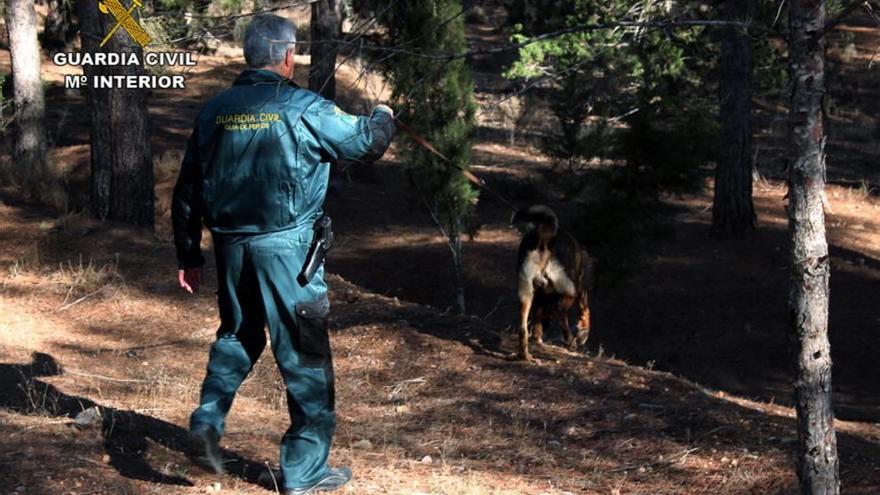 Localizan con vida y rescatan a un ciclista accidentado en Sierra Espuña