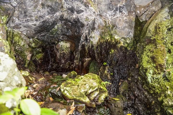 NACIENTES DE AGUA EN EL BARRANCO DE LA VIRGEN