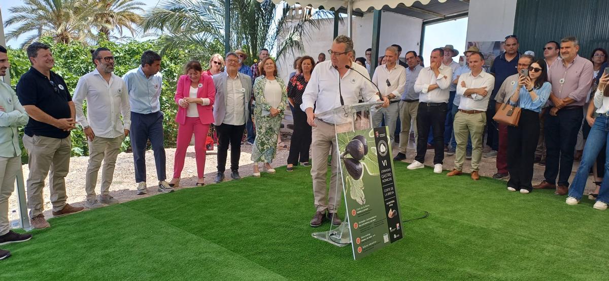 Acto del corte de la breva en Albatera 2024 Acto del corte de la breva en Albatera 2024