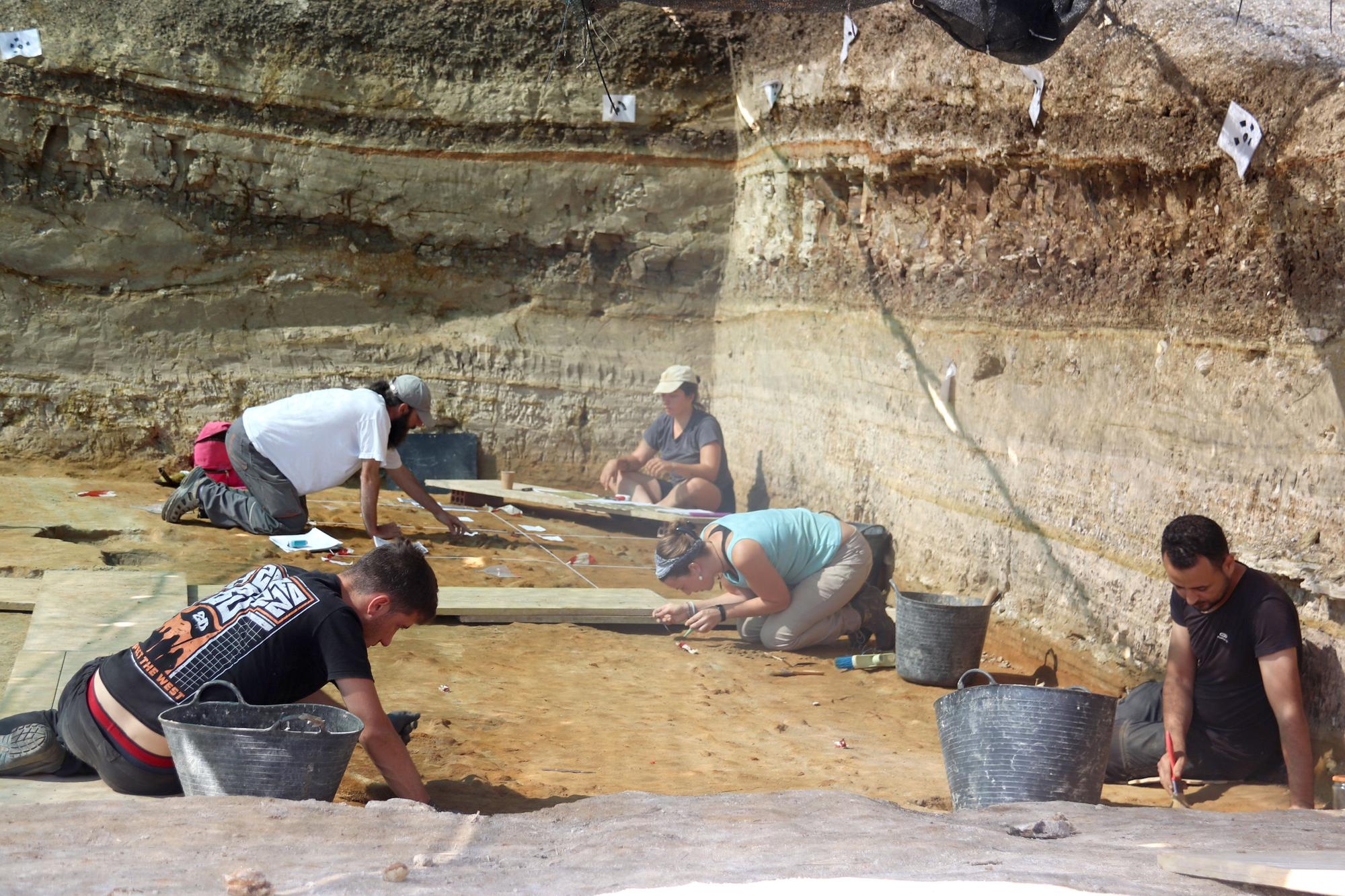 Troben un animal aquàtic sense identificar de més de 3 milions d&#039;anys en una excavació a Girona