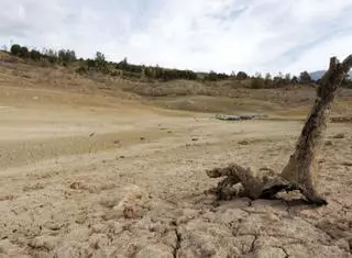 El regadío de la Axarquía ya recibe de agua regenerada todo lo que le aportaba La Viñuela