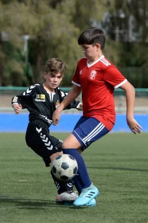 Santa Lucía de Tirajana. Partido San Pedro Mártin-Tablero (infantiles)del CB Gran Canaria.  | 15/02/2020 | Fotógrafo: José Carlos Guerra