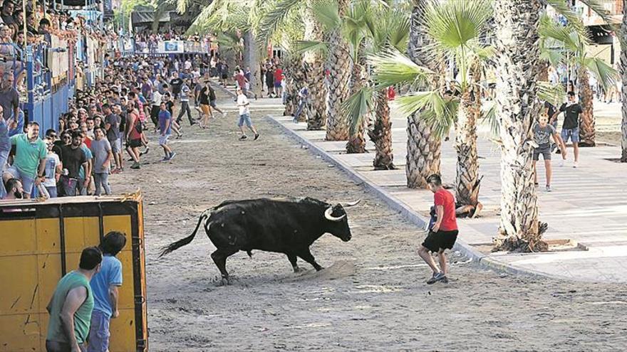 Expectación por el encierro de toros cerriles el domingo