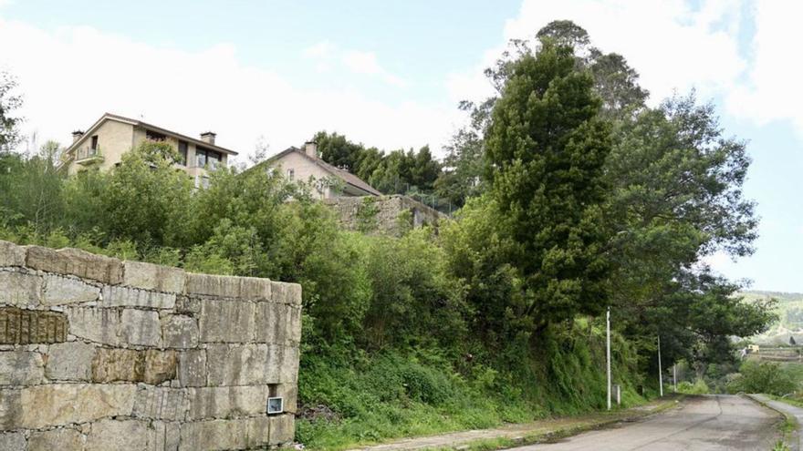 La vegetación crece sin control en esta calle de Monte Porreiro.