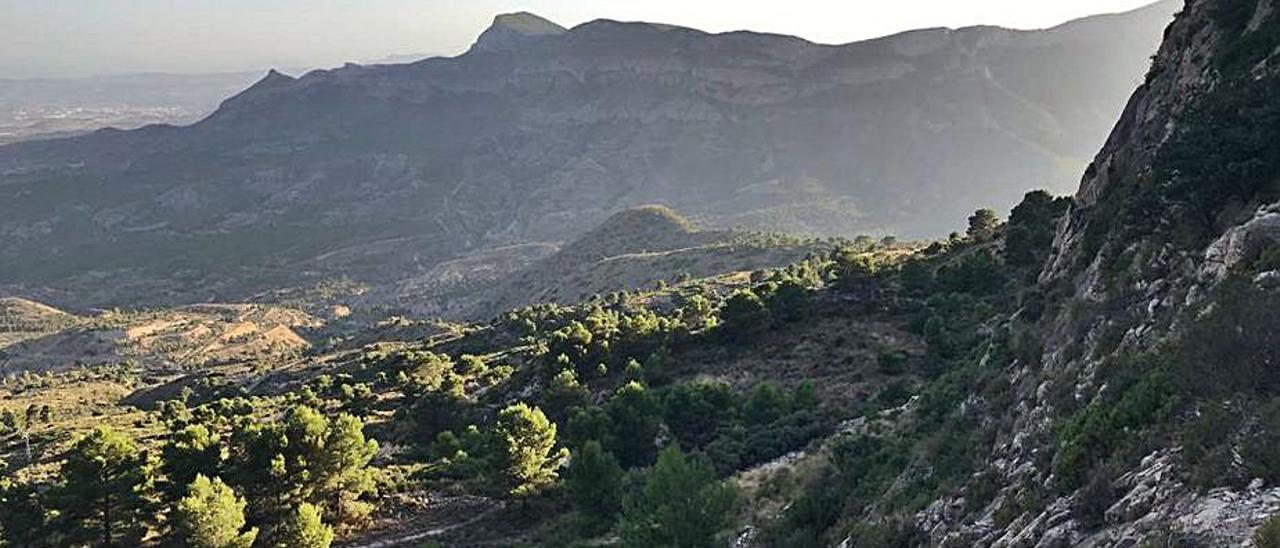 La zona de Palomarets, en el Paisaje Protegido del Cid-Maigmó. | J.CP.G.