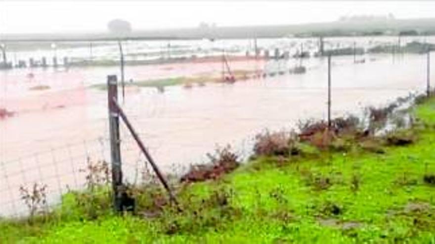 La lluvia provoca inundaciones, daños materiales y cortes de tráfico en Badajoz