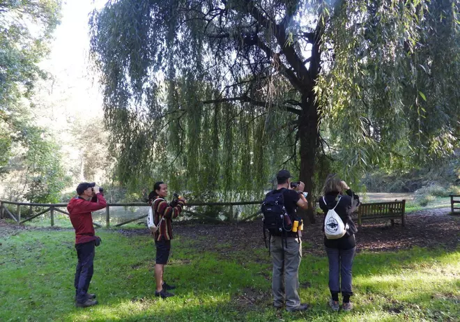 La Cebera, uno de los emblemas “verdes” de Siero, rebrota en Lugones