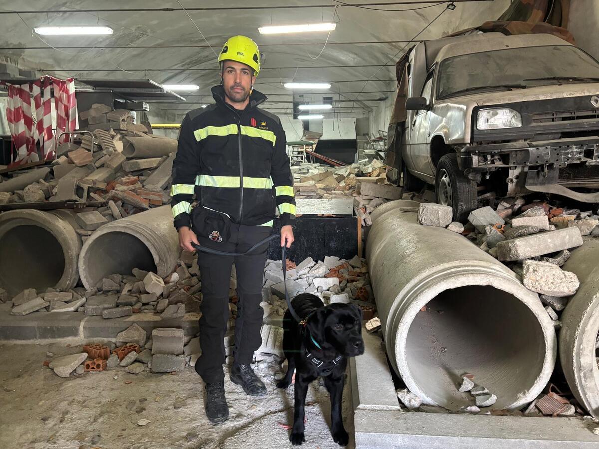 Labrador junto a soldado de la UME, ambos expertos en búsqueda y rescate