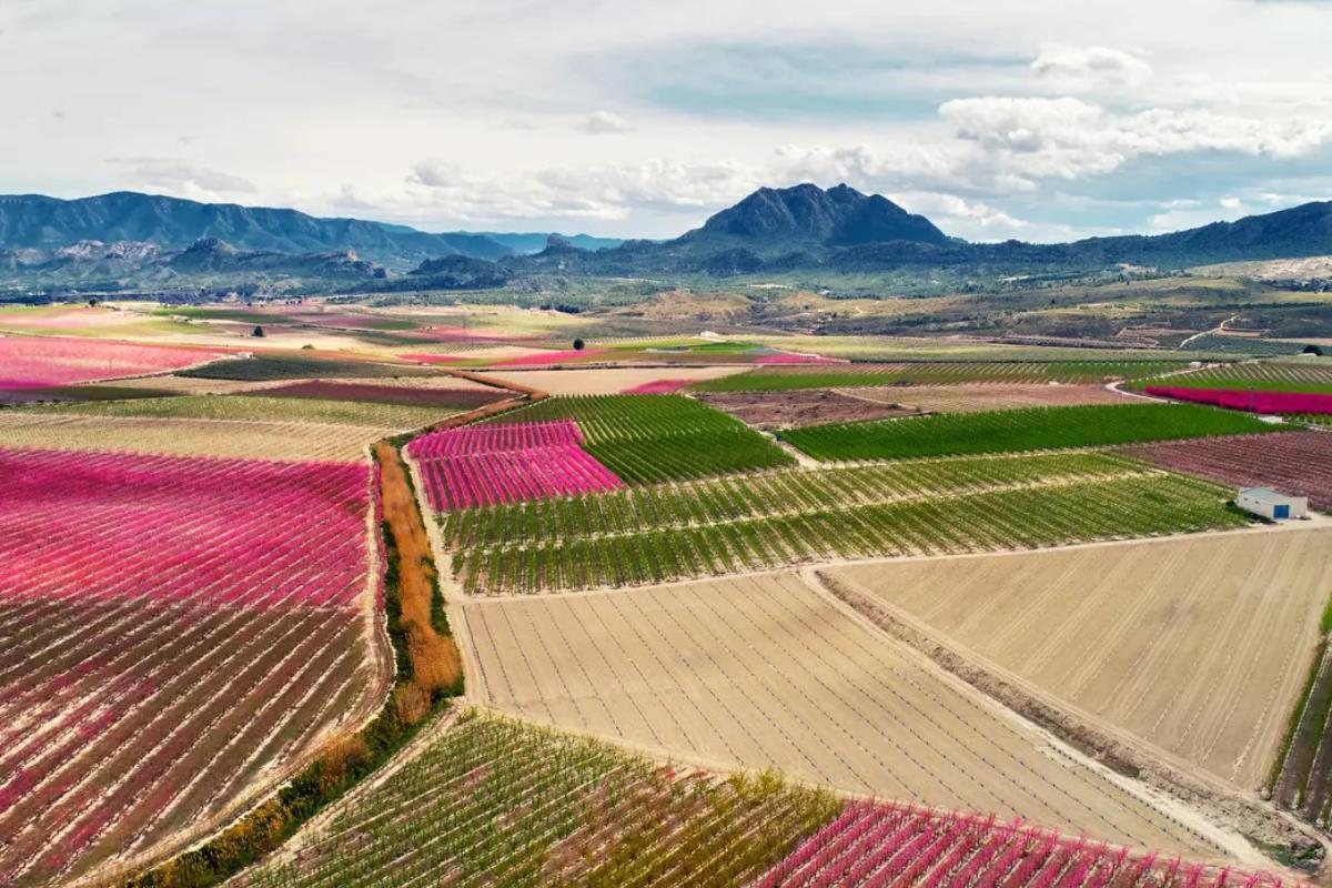 El destino perfecto para recibir la primavera.
