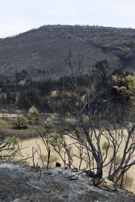 Andilla: ocho años desde su gran incendio