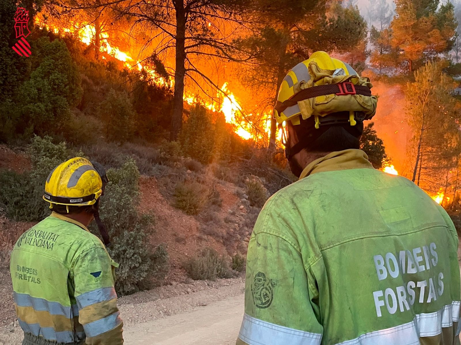 Las fotografías del virulento incendio forestal en Villanueva de Viver