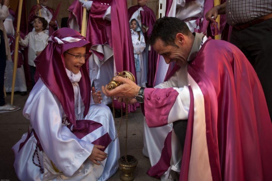 Semana Santa en Zamora: La Borriquita