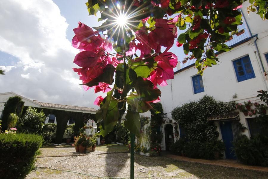 Los Patios de Córdoba: Santiago