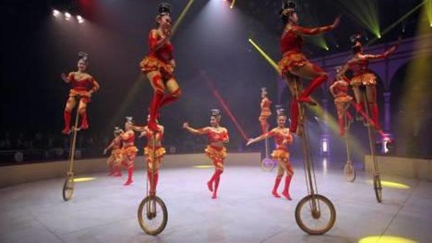 Una de les actuacions de la darrera edició del Festival del Circ que va tenir lloc al febrer.