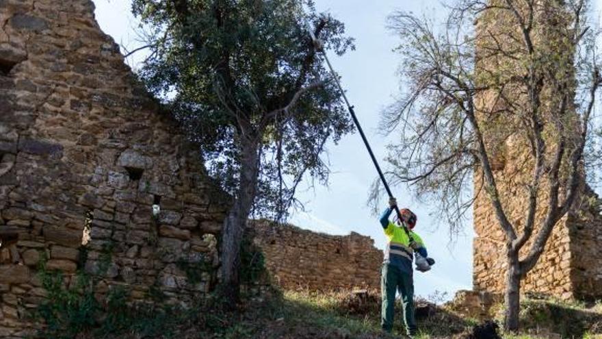 Un operari desbrossant en una zona de les Gavarres.