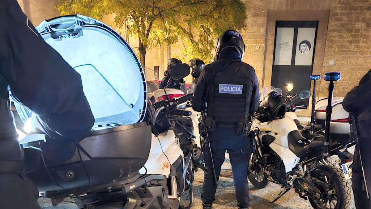 Agentes de la Policía Local de Palma.