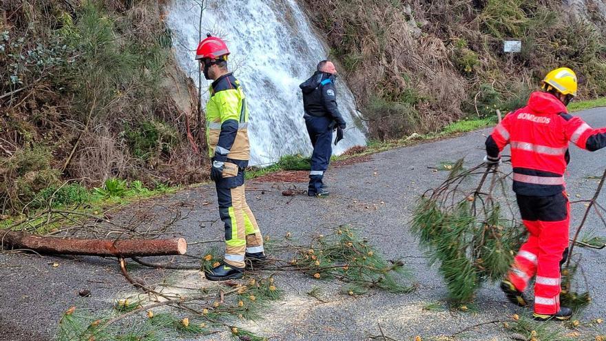 Policía y bomberos retiran el domingo un árbol caído en el vial de San Lourenzo. |   // SANTOS ÁLVAREZ