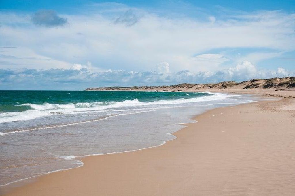 Cap Ferret