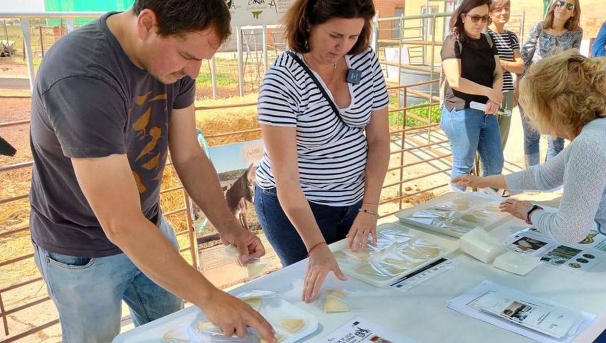 La leche de burra busca su oportunidad