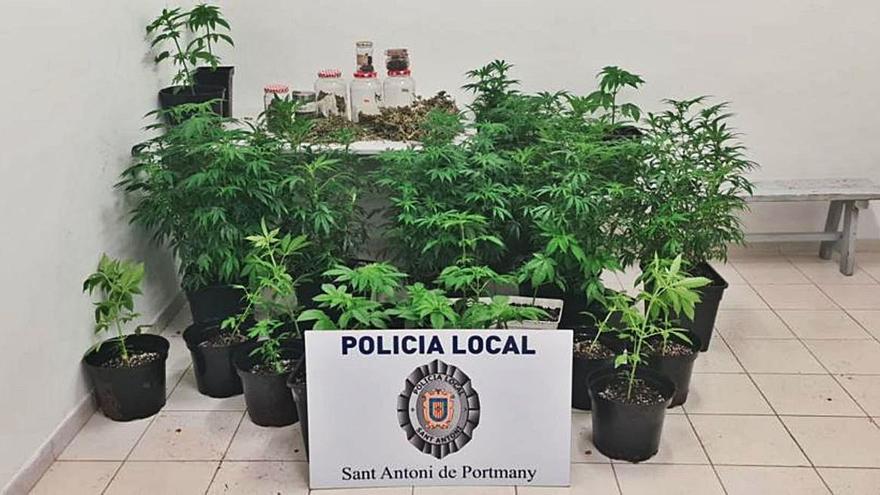 Decomisadas 27 plantas de marihuana en Sant Antoni | ASA