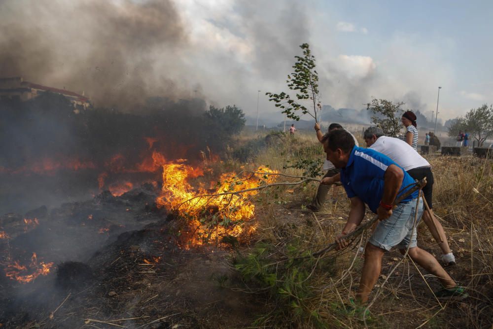 Incendio forestal Arribes