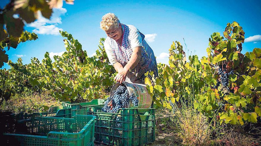 DO Arribes, vinos tan sorprendentes como su paisaje
