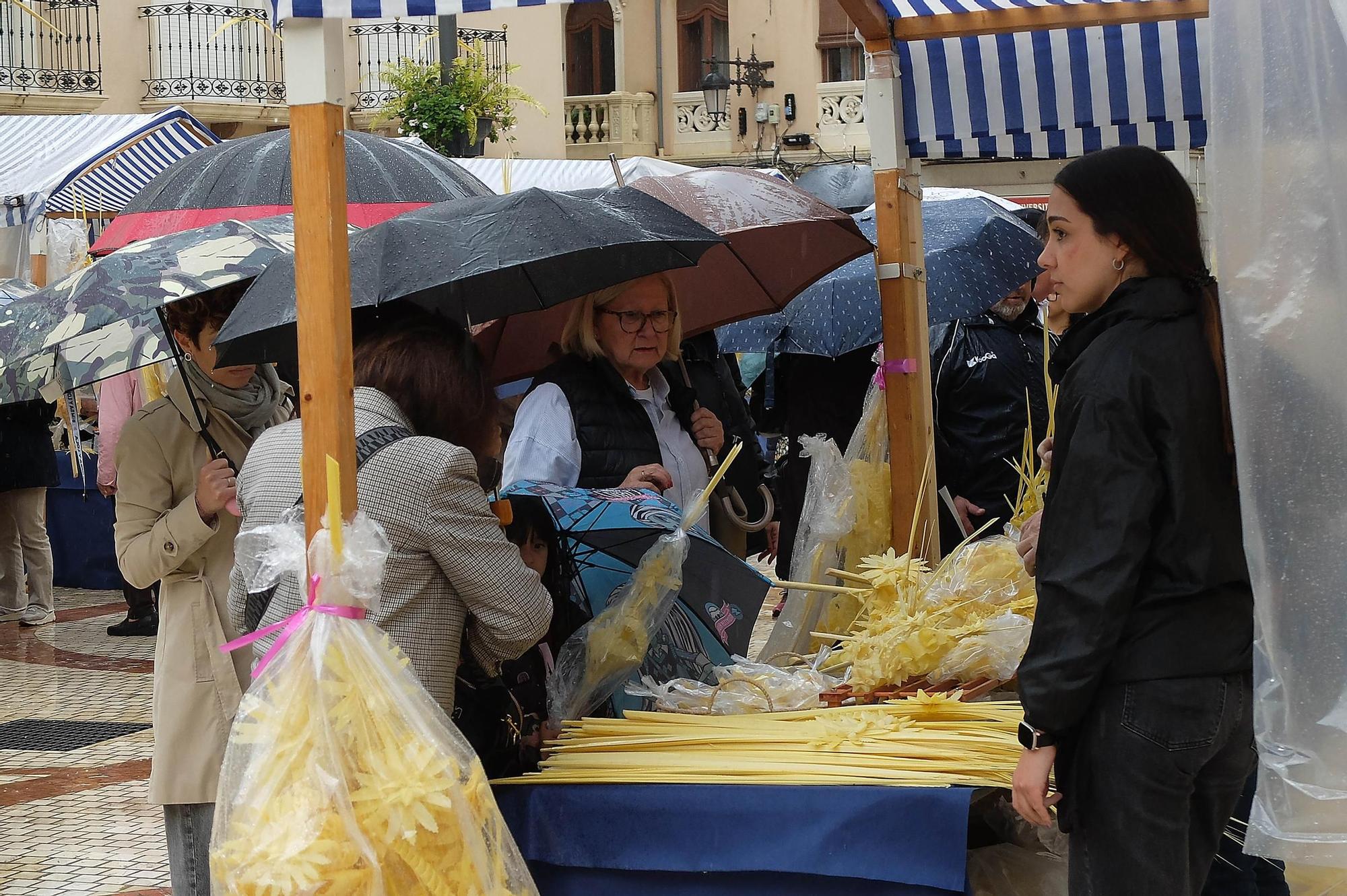 Venta de palma blanca pasada por agua en Elche