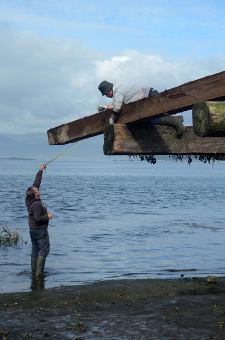 La construcción de bateas llega a Vilagarcía.