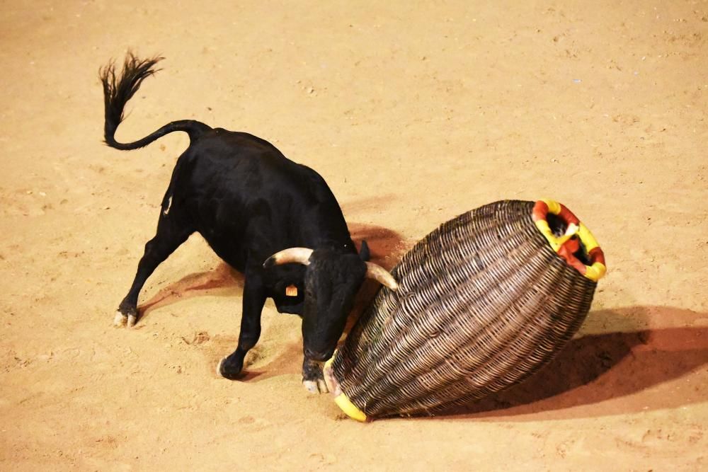 Corre de bou de Cardona