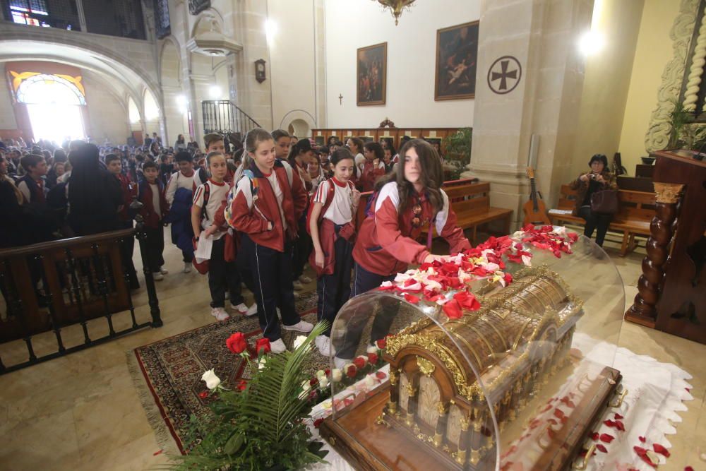 Las reliquias de Santa Teresa del Niño Jesús ya están en el monasterio de Santa Faz.