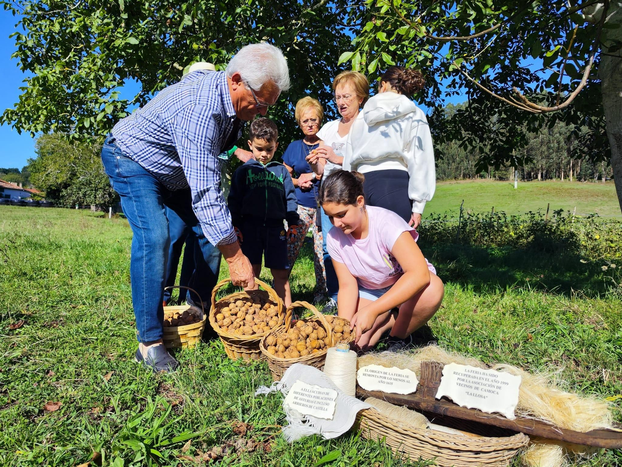 Camoca, tierra de nueces, prepara su feria anual