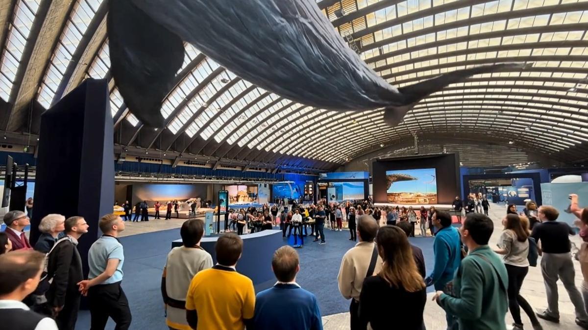 El Palacio de Exposiciones de Niza se ha rebautizado con el nombre de La Ballena y alberga durante dos semanas actividades y experiencias inmersivas para mostrar al público la importancia y el estado actual del océano.