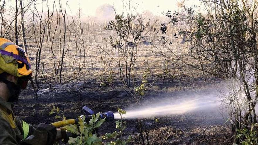 Agente de las brigadas forestales trabaja en la extinción del fuego en San Cristovo de Az // Bernabé/ Javier Lalín