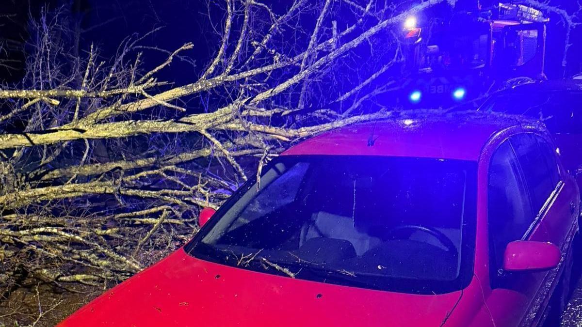 Fotogalería | Así ha afectado la borrasca Joseph a Badajoz