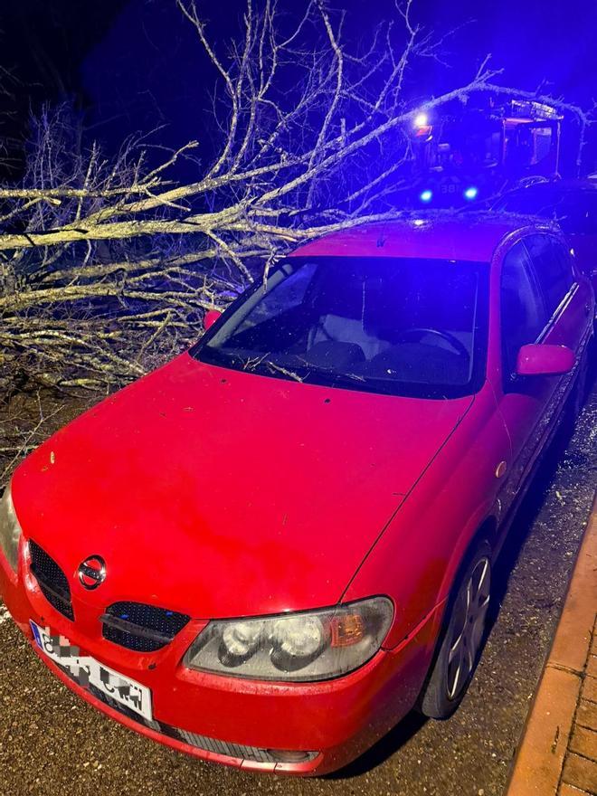 Fotogalería | Así ha afectado la borrasca Joseph a Badajoz