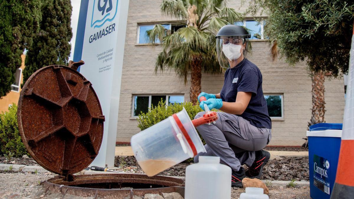 Uno de los análisis realizados en la Comunitat Valenciana