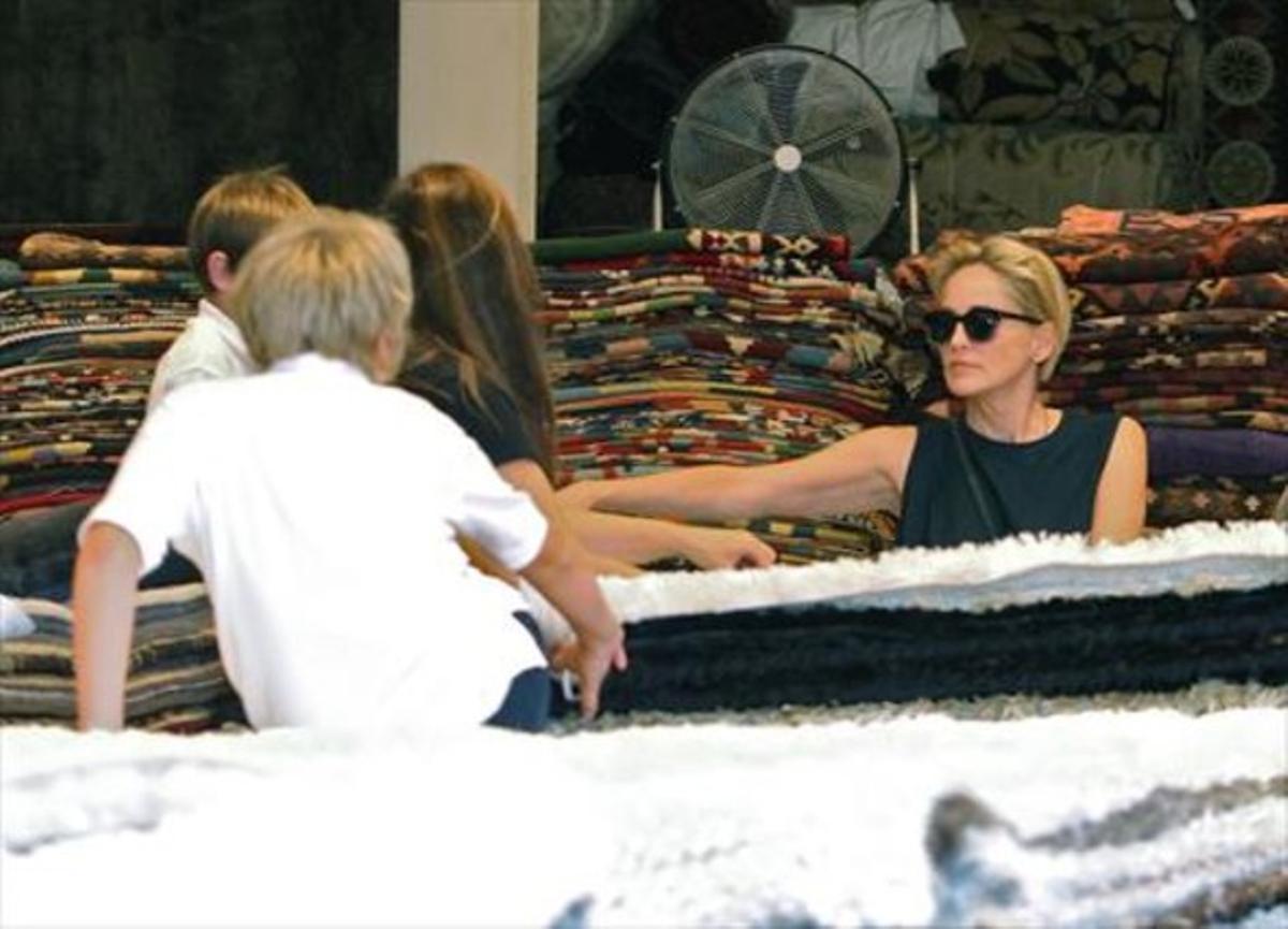 Sharon Stone, de compres amb els fills_MEDIA_1
