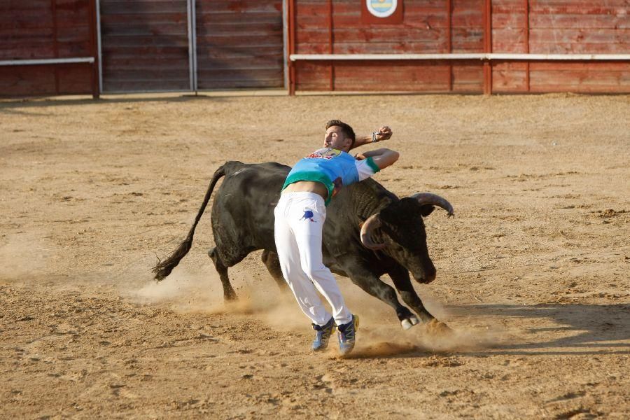 Fiestas en Zamora: Recortes en Villalpando