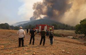 Incendio forestal cerca de Atenas, Grecia.