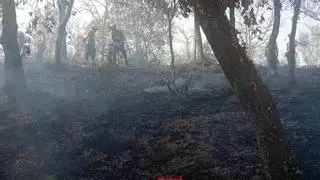 Un incendi provocat per un arbre que ha caigut damunt una línia elèctrica a Bescanó deixa 600 abonats sense llum