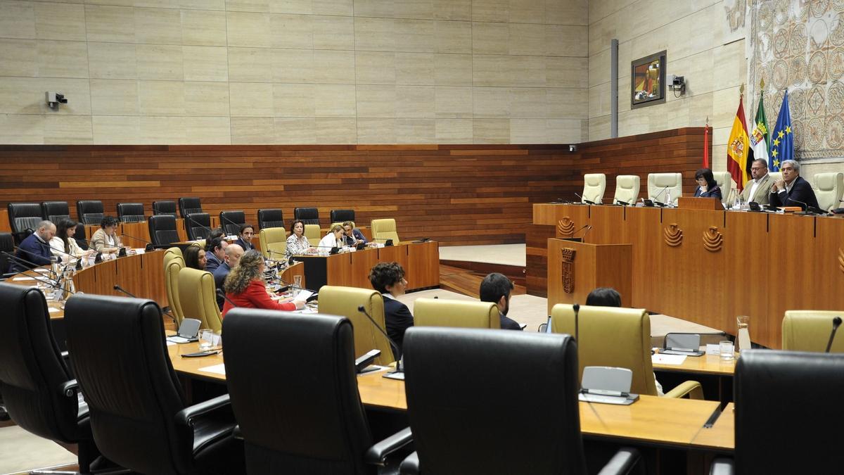 Asistentes al pleno celebrado este jueves en la Asamblea de Extremadura.