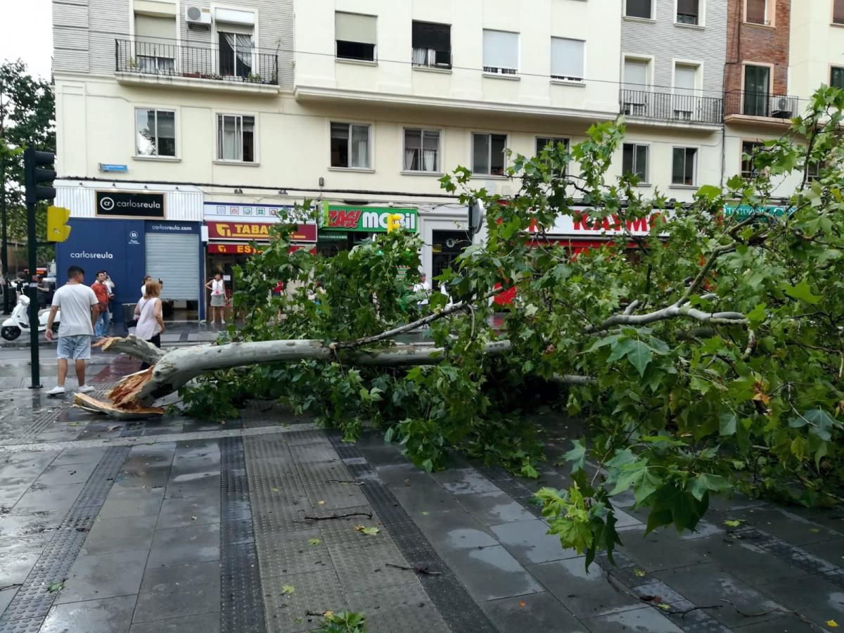 Consecuencias de la tormenta en Zaragoza