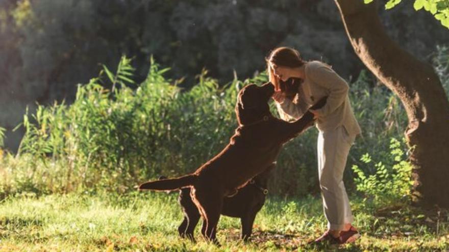 Estos son los mejores sitios de España para vivir si tienes perro